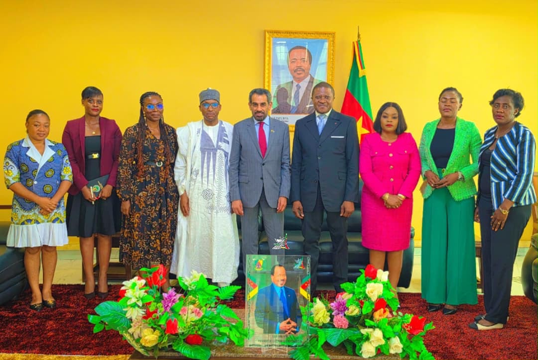 Coopération: les transports au cœur du rapprochement entre le Cameroun et les Emirats Arabes Unis